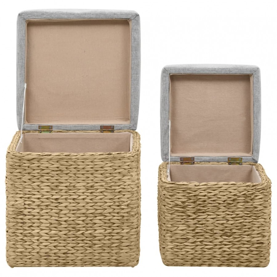 Repose-pied 2 pcs Jacinthe d'eau Gris